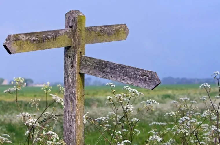 Words Your Reader Can Take Two Ways